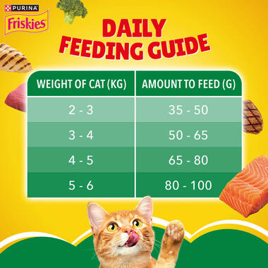 Purina kitten chow feeding chart on sale